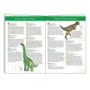 Puzzle D'Observation : Dinosaures 100 Pcs