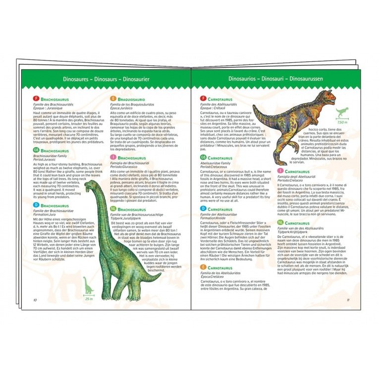 DJECO - Observation puzzles - Dinosaurs + booklet - 100 pcs - DJ07424
