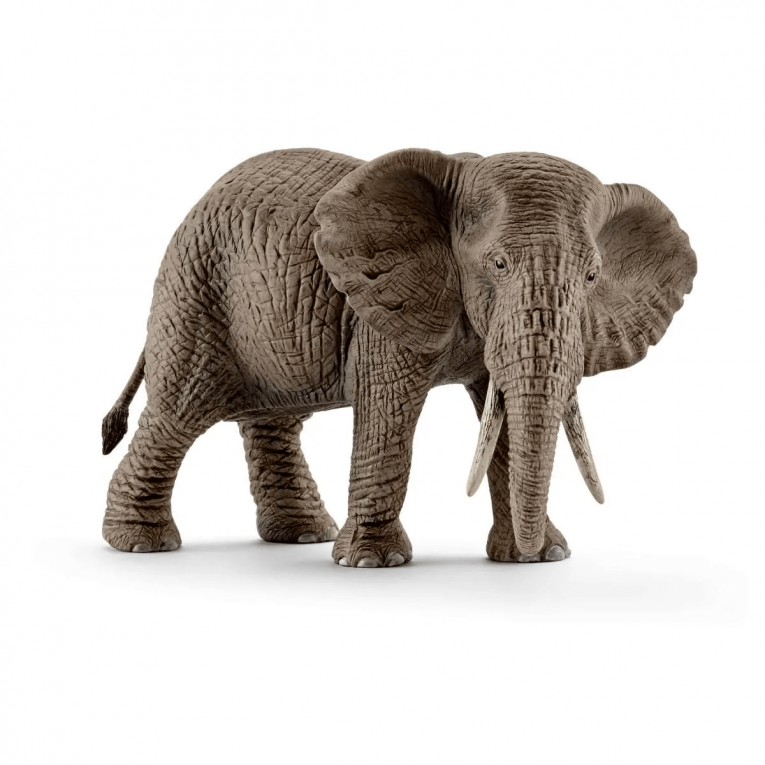 SCHLEICH - elephant d'Afrique femelle - 14761