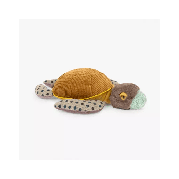 MROTY - 719028 - Petite tortue Tout autour du monde