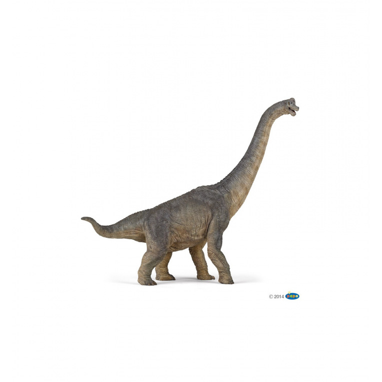 Papo - Brachiosaure - 55030