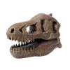 Buki Tyrannosaurus museum schedel