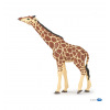 Papo - Girafe tête levée - 50236