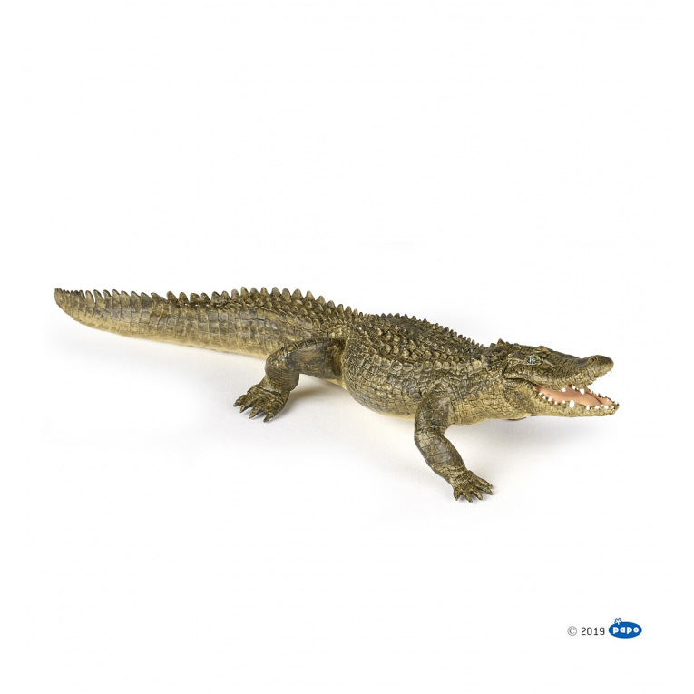 Papo - Alligator - 50254