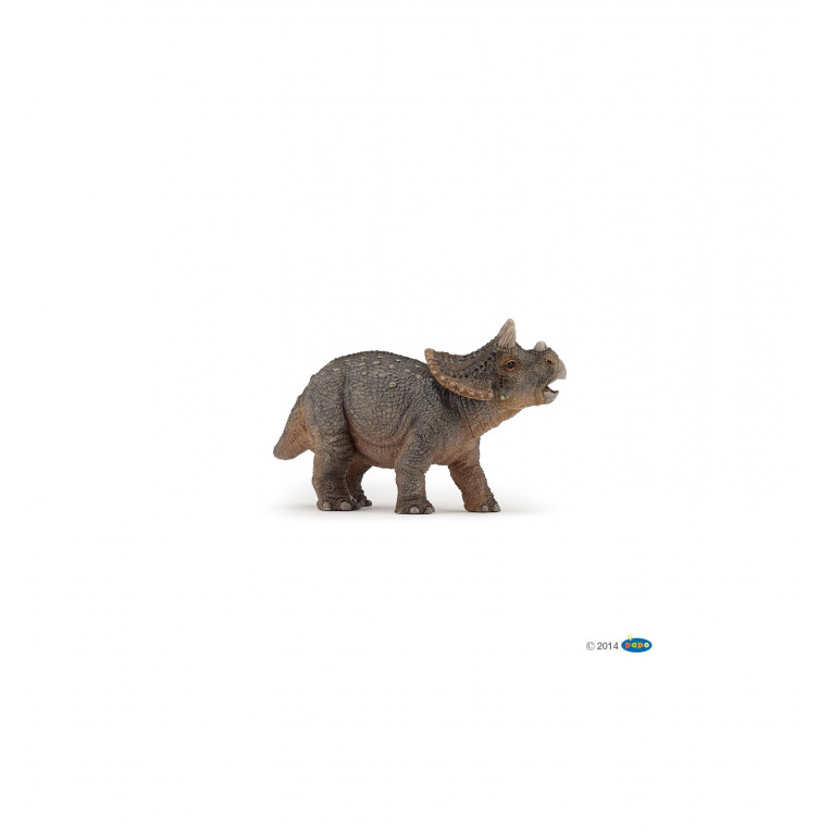 Papo - Jonge triceratops - 55036