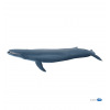 Papo - Baleine bleue - 56037