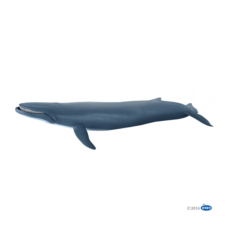 Papo - Baleine bleue - 56037