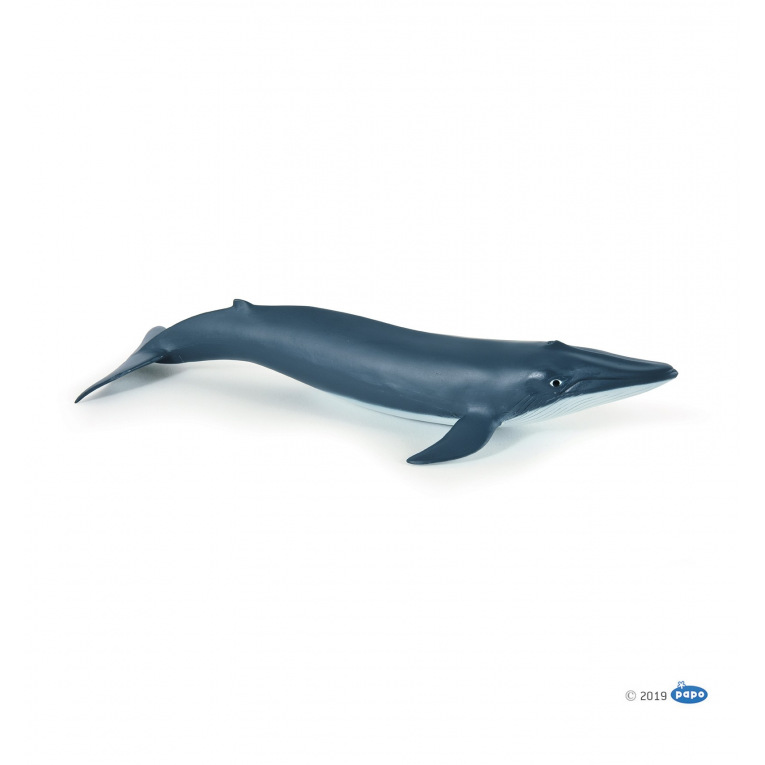 Papo - Bébé baleine bleue - 56041